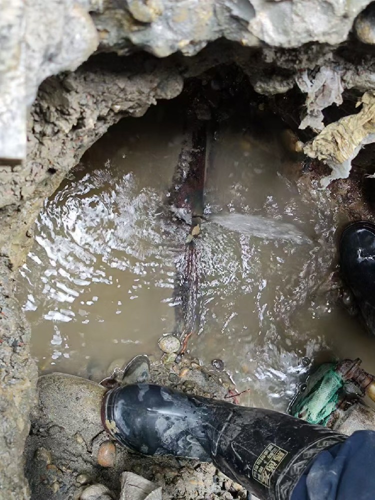 轮台县本地服务：小区水管漏水检测维修